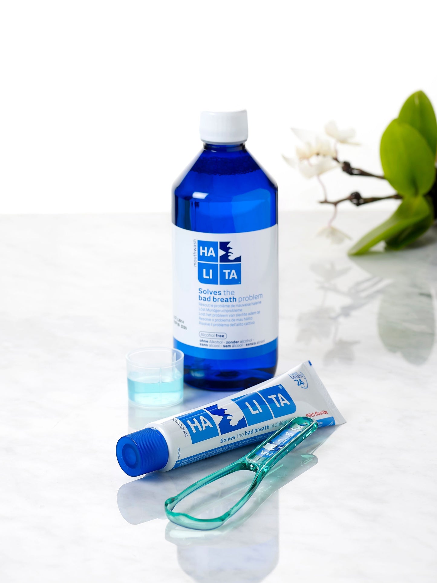HAITA dental care products including a bottle, tube, and toothbrush on a white background with a plant.